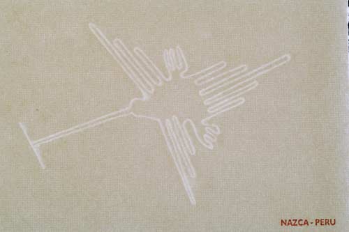 Filigrana linee Nazca, il colibrì