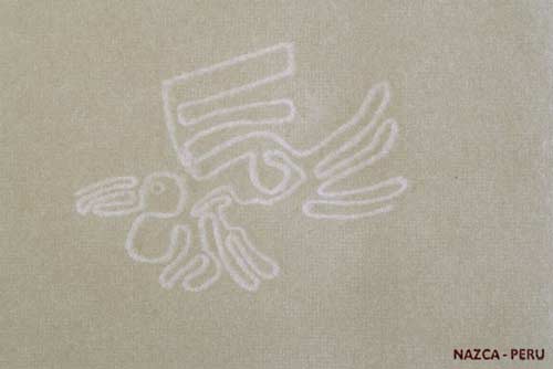 Biglietto per auguri decorato con linee Nazca, uccello